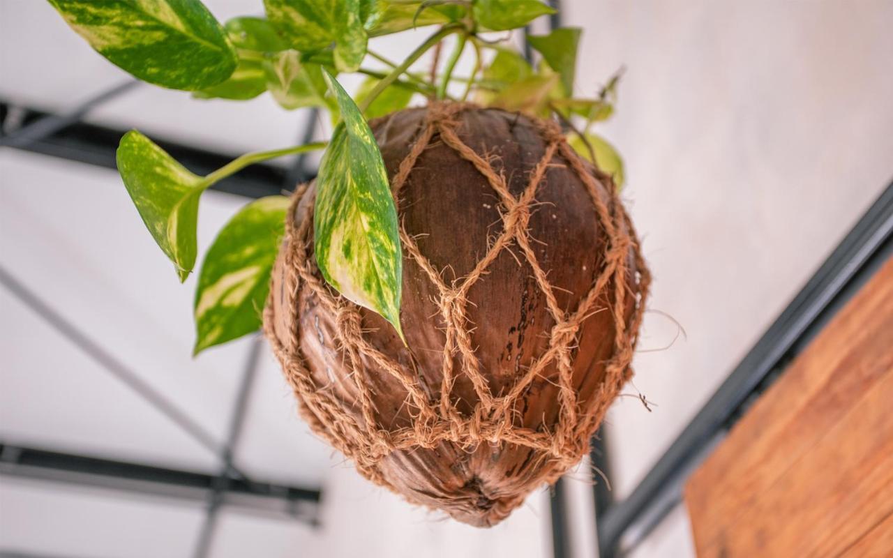 Tranquil Nest Vaavu Otel Rakeedhoo Dış mekan fotoğraf
